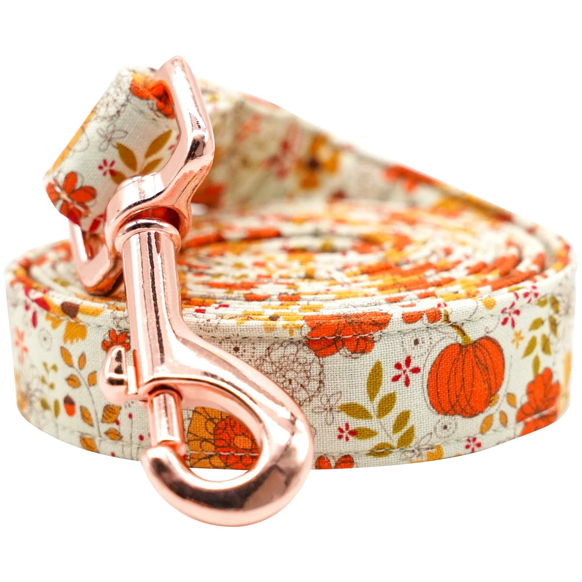 Lionheart glory Strong Dog Leash Fall Holiday Durable Dog Leashes with Comfortable Soft Handle for Small Medium and Large Girl or Boy Dogs