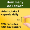 Nature Made Turmeric Curcumin 500 mg, Turmeric Curcumin Supplement for Antioxidant Support, Herbal Supplements, 120 Capsules, 120 Day Supply