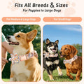 Dog Collar and Leash Set Girls Adjustable Puppy Collars with Floral Bow Tie for Small Medium Large Female Dogs, Orange Flower, XS