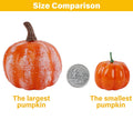 winemana Fall Decorations for Home Mini Pumpkins Gourds & Leaves Set