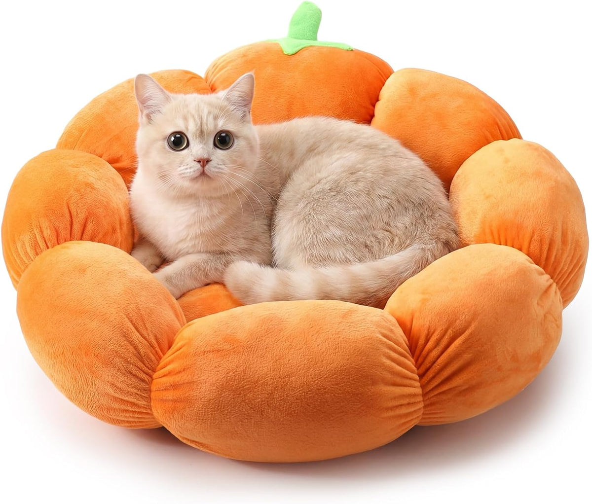RattanView Cat Bed House Pet Cushion for Indoor Kitten Pet,Pumpkin