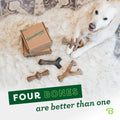 Benebone Large 4-Pack Dog Toys for Aggressive Chewers – Under 90 lbs
