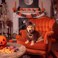 Huhumy Halloween Dogs Bear Costume for Pets with Black Top Hat Bow Tie, L