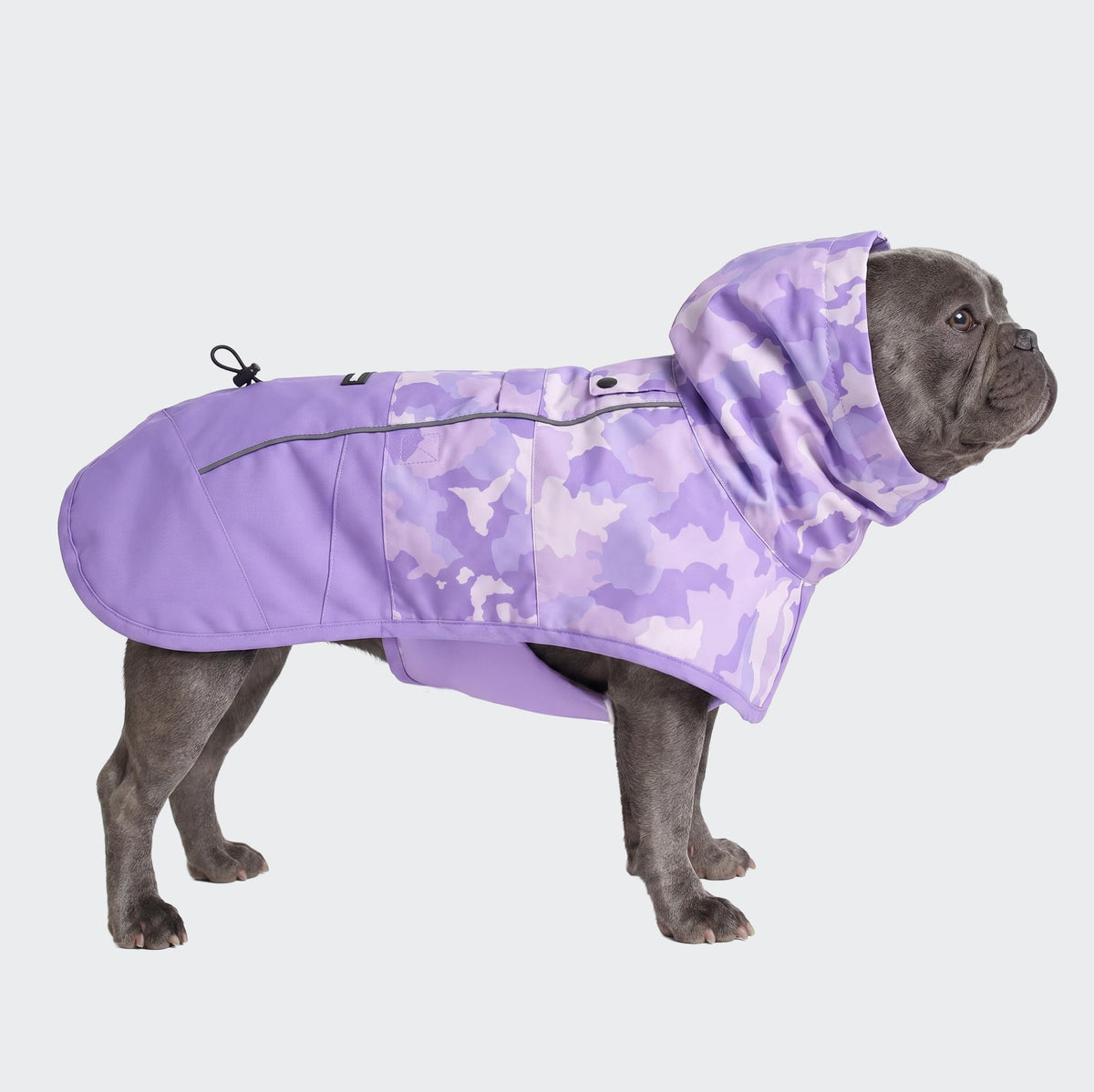 Spark Paws Dog Raincoat, Waterproof Windproof Rain Jacket, for Small Medium Large Extra Large Dogs, Reflective Breathable Full-Body Coverage Dry Suit - Neon White Navy Blue, 2XL