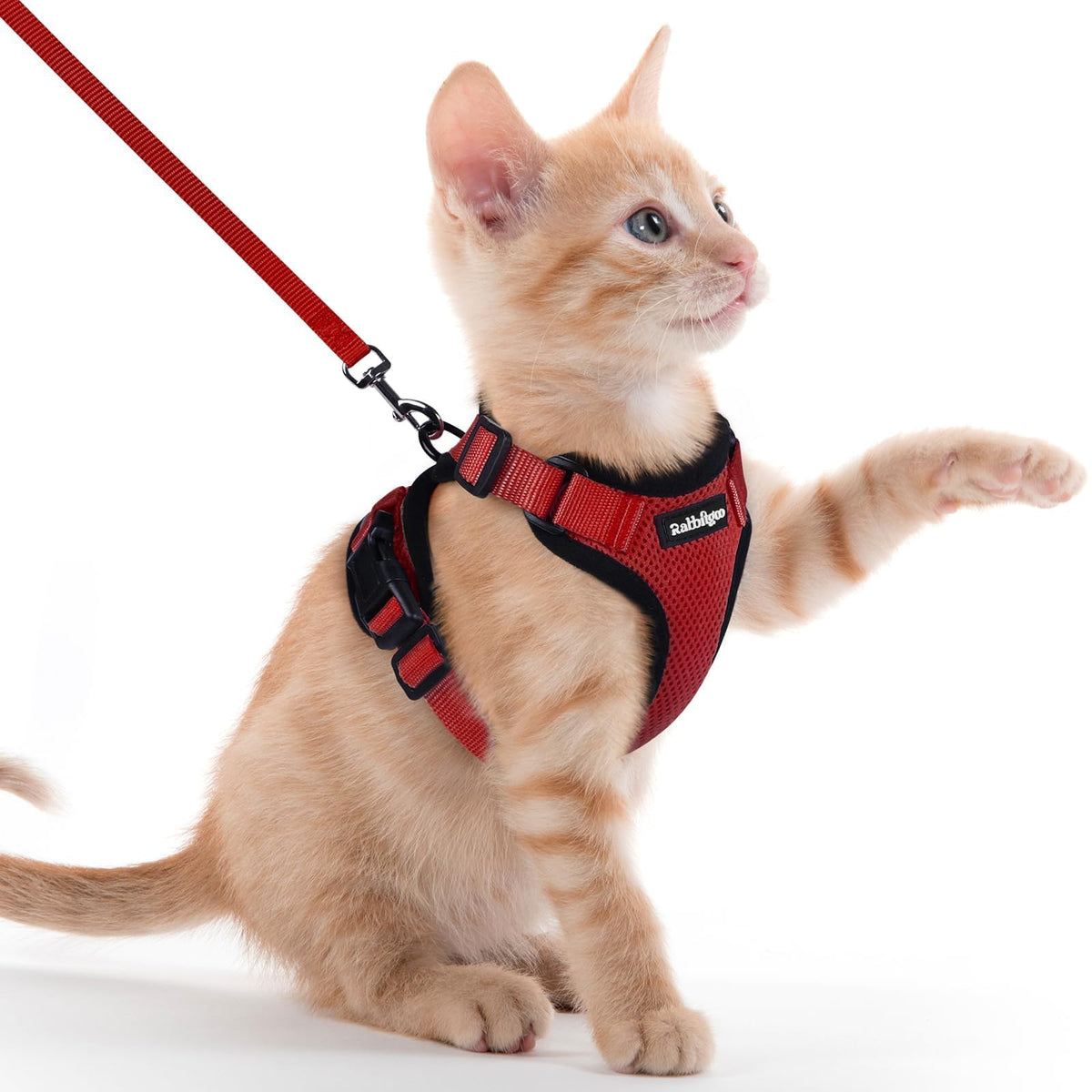 rabbitgoo Cat Harness and Leash Set, Escape Proof Vest, Black | Soft Breathable Mesh, Easy Adjustable Fit, Snap Buckles, Sturdy Clip, Reflective Strips, for Small & Average Cats Walks, Xs