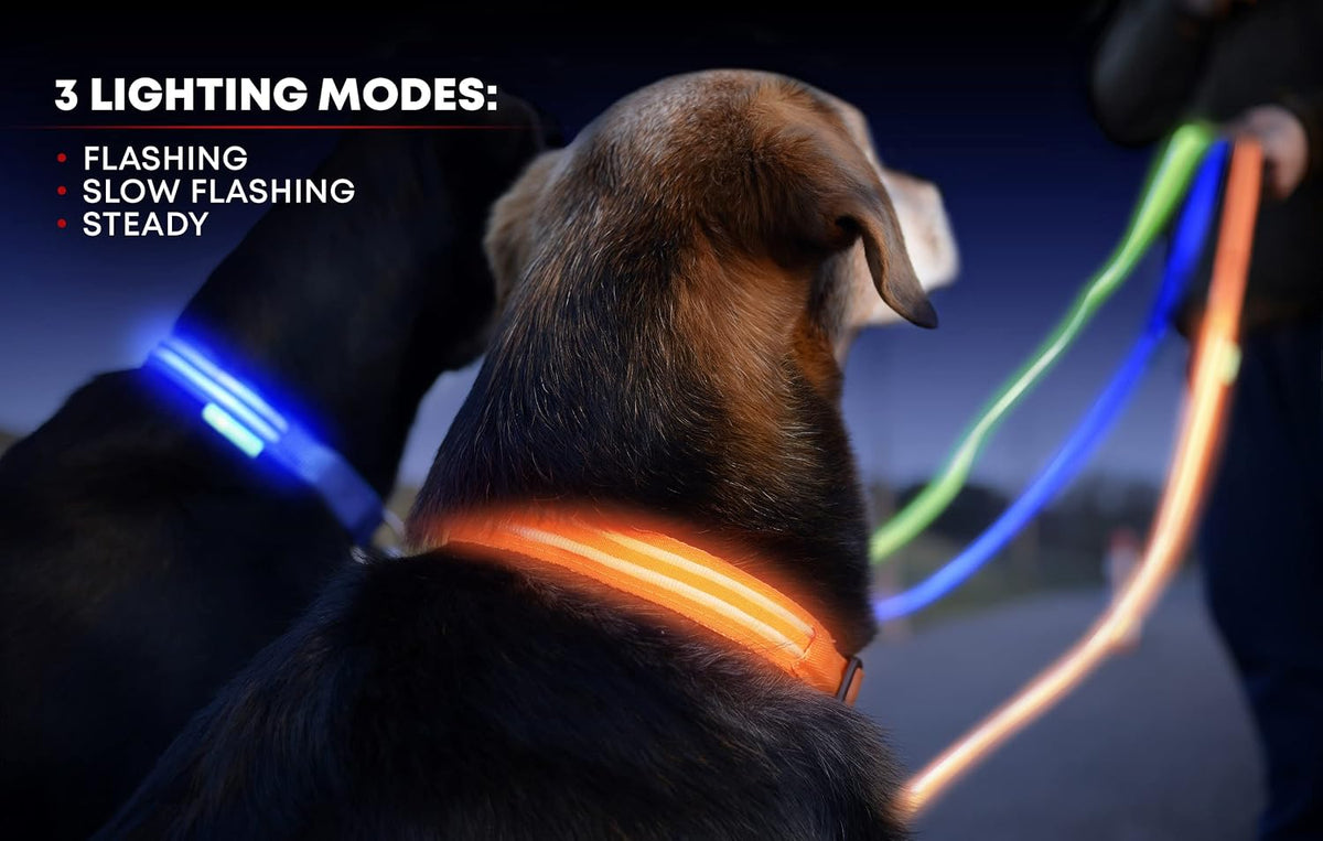ILLUMISEEN LED Dog Collar USB Rechargeable - Bright & High Visibility Lighted Glow Collar for Pet Night Walking - Weatherproof, in 6 Colors & 6 Sizes (Green Large)