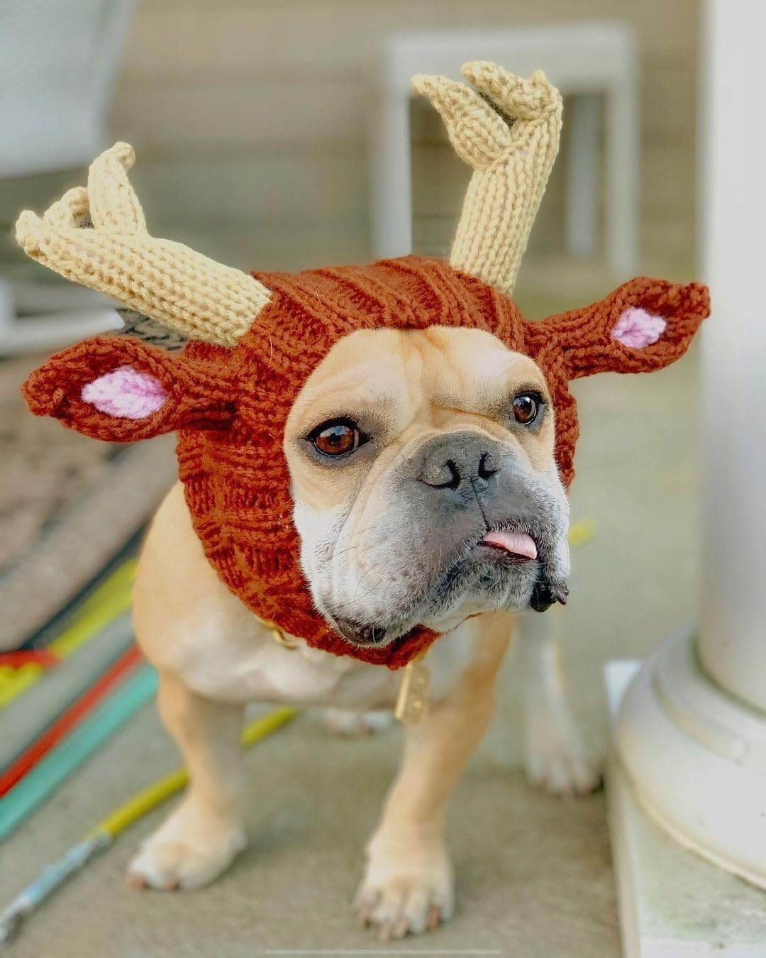 HOTUMN Knit Antlers Dog Snoods - Warmth and Fun for Dogs and Cats - Dressing up with Cute Christmas Dog Costumes (Medium)