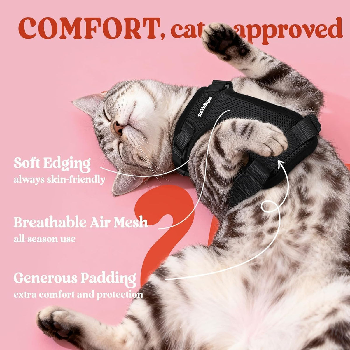 rabbitgoo Cat Harness and Leash Set, Escape Proof Vest, Black | Soft Breathable Mesh, Easy Adjustable Fit, Snap Buckles, Sturdy Clip, Reflective Strips, for Small & Average Cats Walks, Xs