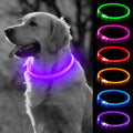 BSEEN Light Up Dog Collar - LED Dog Collar Rechargeable, Glowing Pet Collars for Small Medium Large Dogs, TPU Cuttable Lighted Puppy Collar, Safety Dog Lights for Night Walking (Green 70cm)