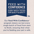 Natural Balance Limited Ingredient Adult Grain-Free Dry Cat Food - Balanced Nutrition - Soy-Free, Corn-Free Limited Ingredient Formula - 10 lb - Salmon & Green Pea Recipe