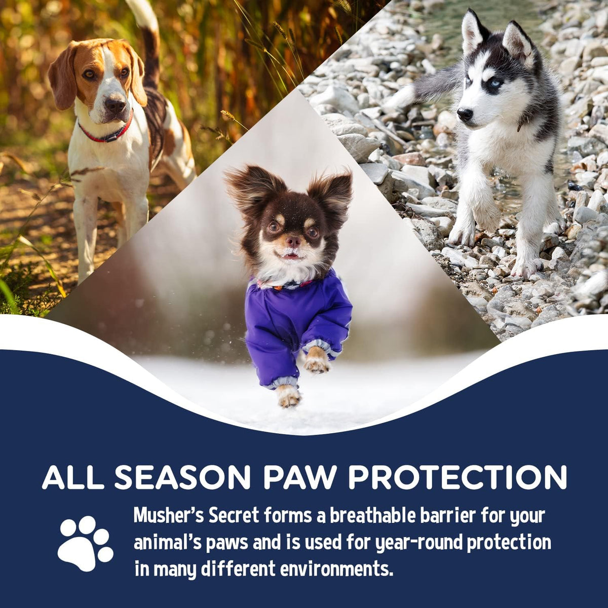 Musher's Secret Dog Paw Wax 60g – Lick Safe Moisturizer for Cracked Pads – Nose & Paw Care Balm – Helps Protect from Hot Pavement & Snow with Vitamin E