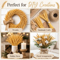 Sukh 100 Stems Dried Wheat Stalks - Boho Fall Decor for Home & Wedding
