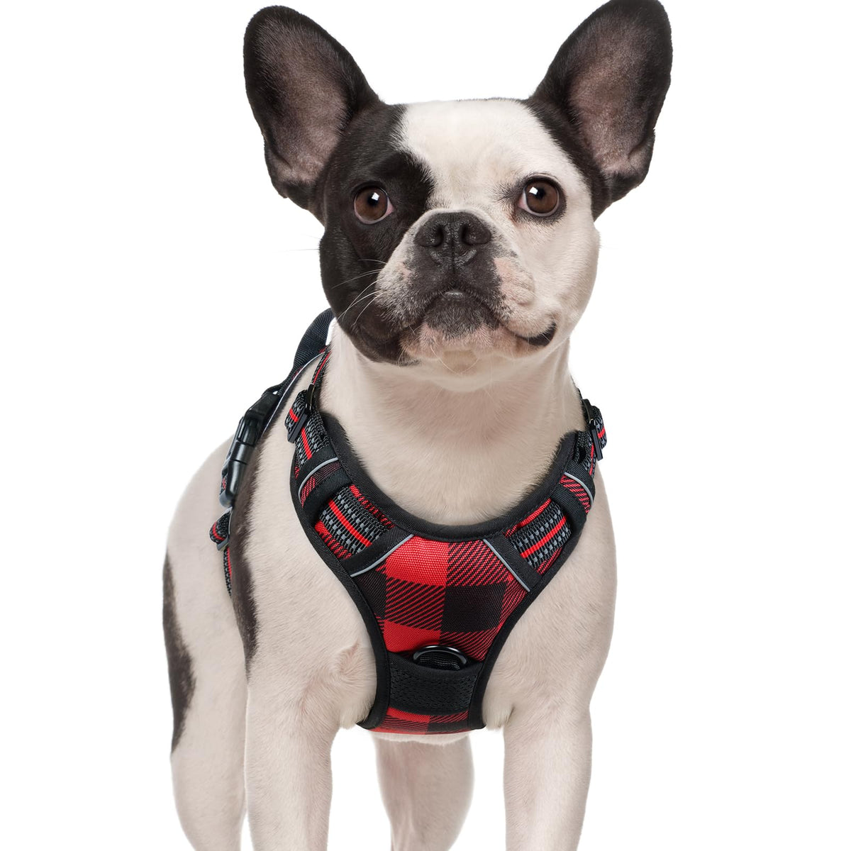 rabbitgoo Dog Harness No Pull with 2 Leash Clips, Adjustable Soft Padded, Reflective Oxford No Choke Pet Vest with Easy Control Handle for Large Dogs, Black, L