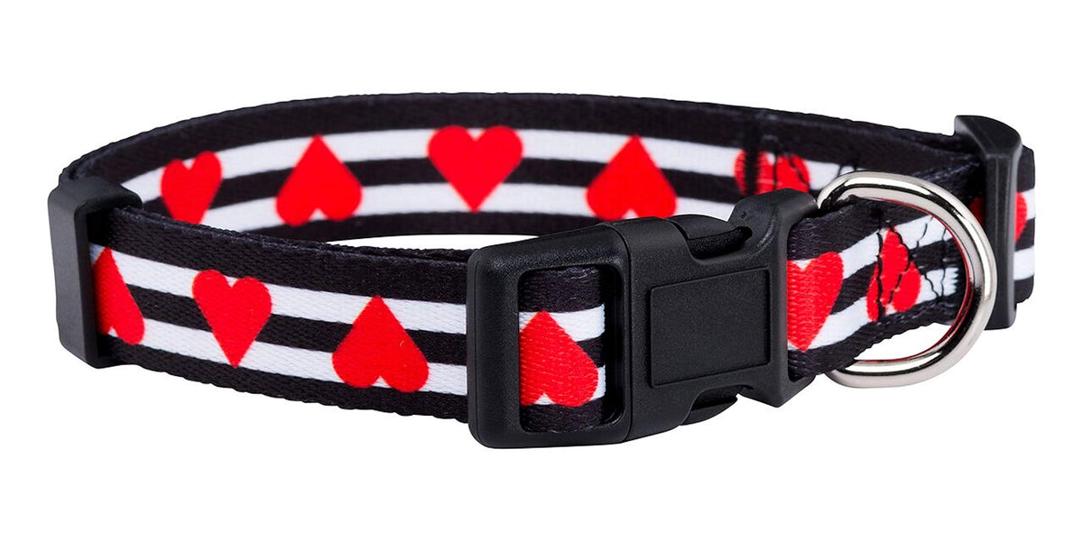 Native Pup Halloween Dog Collar- Spooky Fall Themed Horror Costume Collars- Skull, Pumpkin, Ghost, Bat, Witch, Candy Corn, Spider- Adjustable for Small, Medium, Large Breeds (Small, Big Pumpkins)