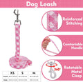 EXPAWLORER Step-in Dog Harness Small Sized Collar and Leash Set