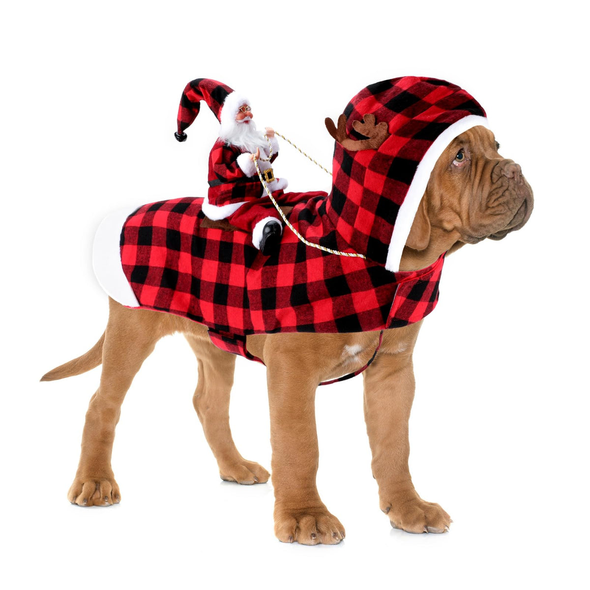 Santa Dog Costume, Dog Christmas Outfit, Riding Pet Costume, Size M