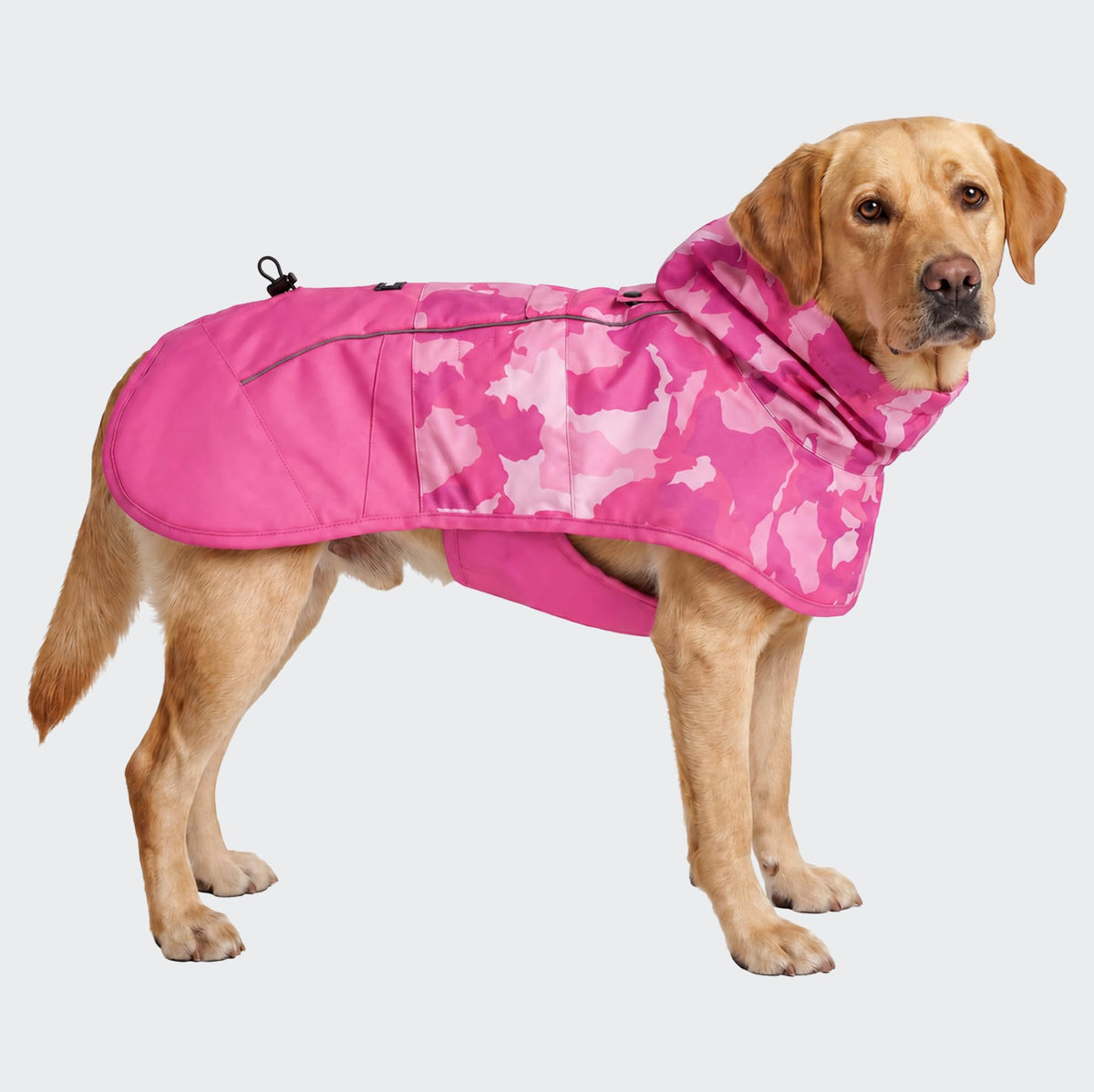 Spark Paws Dog Raincoat, Waterproof Windproof Rain Jacket, for Small Medium Large Extra Large Dogs, Reflective Breathable Full-Body Coverage Dry Suit - Neon White Navy Blue, 2XL