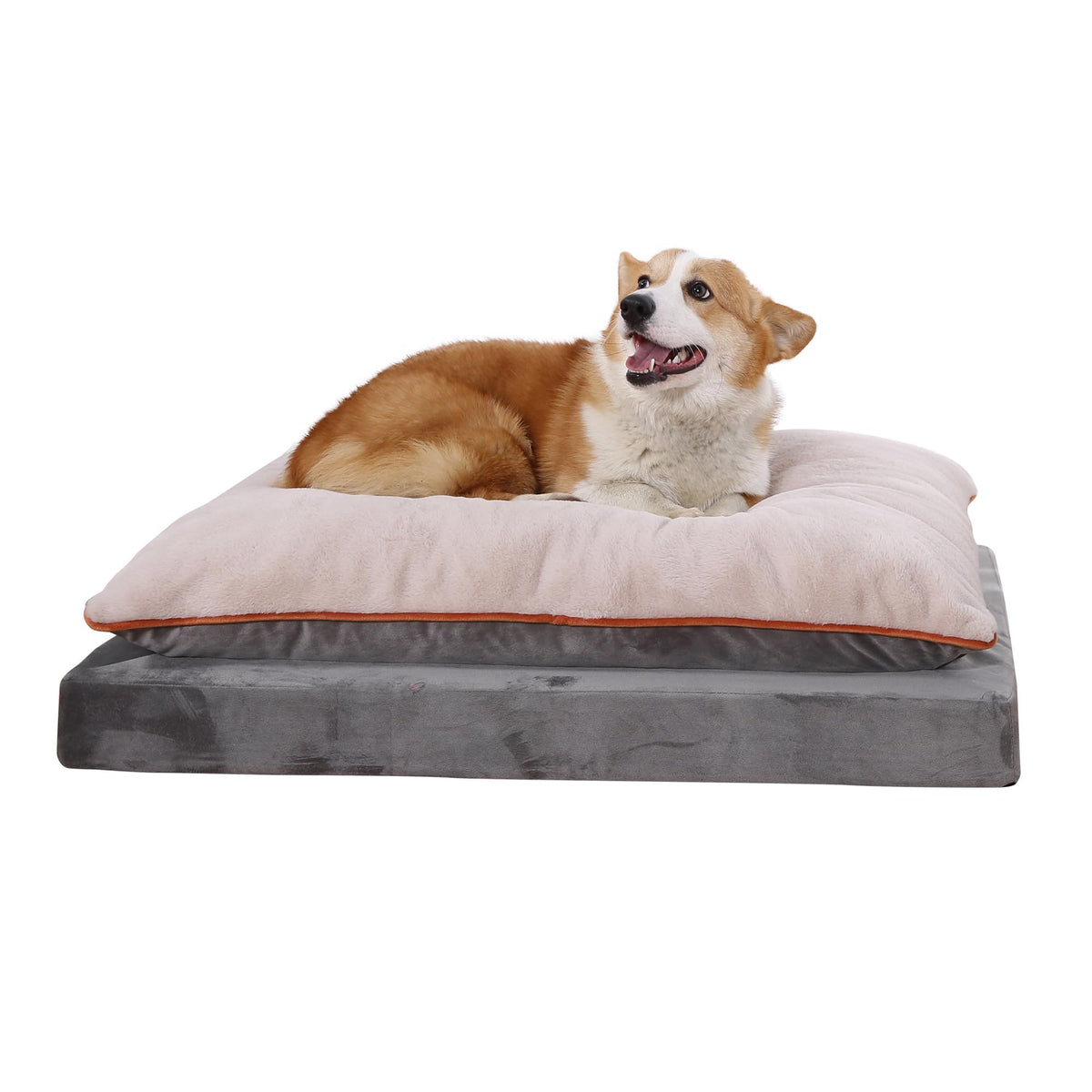 Amazon Basics Living Room Couch Dog Bed with Premium Foam, Non-Slip Bottom, Removable Washable Cover, Pressure-Relief Support for Dogs up to 55lbs, Large (36" x 27"), Grey