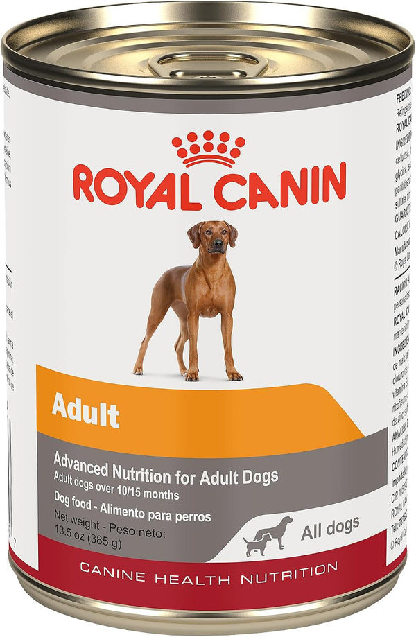 ROYAL CANIN Canine Health Nutrition Adult in Gel Dog Food, 13.5 oz (Pack of 12)