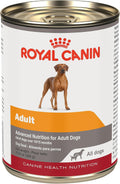 ROYAL CANIN Canine Health Nutrition Adult in Gel Dog Food, 13.5 oz (Pack of 12)