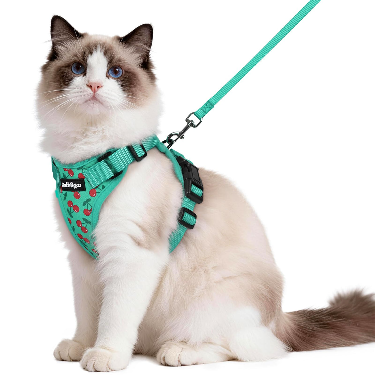 rabbitgoo Cat Harness and Leash Set, Escape Proof Vest, Black | Soft Breathable Mesh, Easy Adjustable Fit, Snap Buckles, Sturdy Clip, Reflective Strips, for Small & Average Cats Walks, Xs