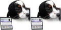 Happy Hoodie The Original Dog & Cat Calming Band - American Brand - Anxiety Relief/Noise Protection-Grooming-Thunder-Fireworks (XS, Purple) - Since 2008