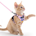 rabbitgoo Cat Harness and Leash Set, Escape Proof Vest, Black | Soft Breathable Mesh, Easy Adjustable Fit, Snap Buckles, Sturdy Clip, Reflective Strips, for Small & Average Cats Walks, Xs