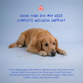 Multivitamin for Dogs 120 Tablets - Glucosamine, Fish Oil & CoQ10 | With Glucosamine, Chondroitin, Fish Oil & CoQ10. Supports joint, skin, heart, gut & immune health.