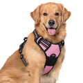 rabbitgoo Dog Harness No Pull with 2 Leash Clips, Adjustable Soft Padded, Reflective Oxford No Choke Pet Vest with Easy Control Handle for Medium Sized Dogs, Black, M