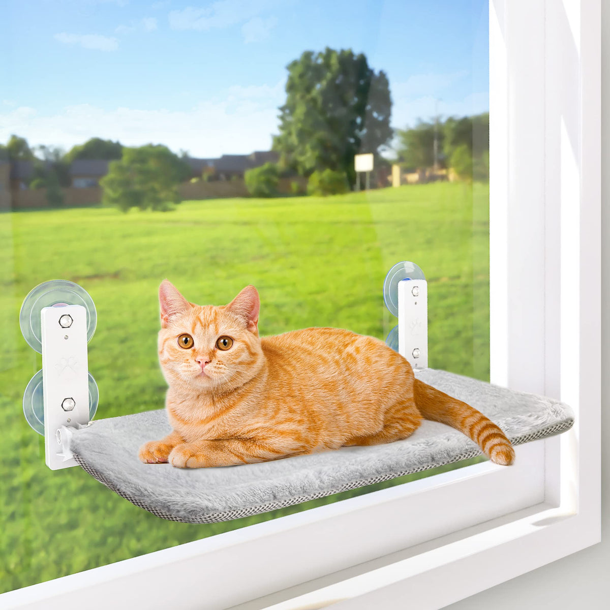 AMOSIJOY Cordless Cat Window Perch, Window Hammock for Cats with 4 Strong Suction Cups, Solid Metal Frame and Soft Cover, Indoor Cat Bed