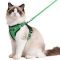 rabbitgoo Cat Harness and Leash Set, Escape Proof Vest, Black | Soft Breathable Mesh, Easy Adjustable Fit, Snap Buckles, Sturdy Clip, Reflective Strips, for Medium to Large Cats Walks, M
