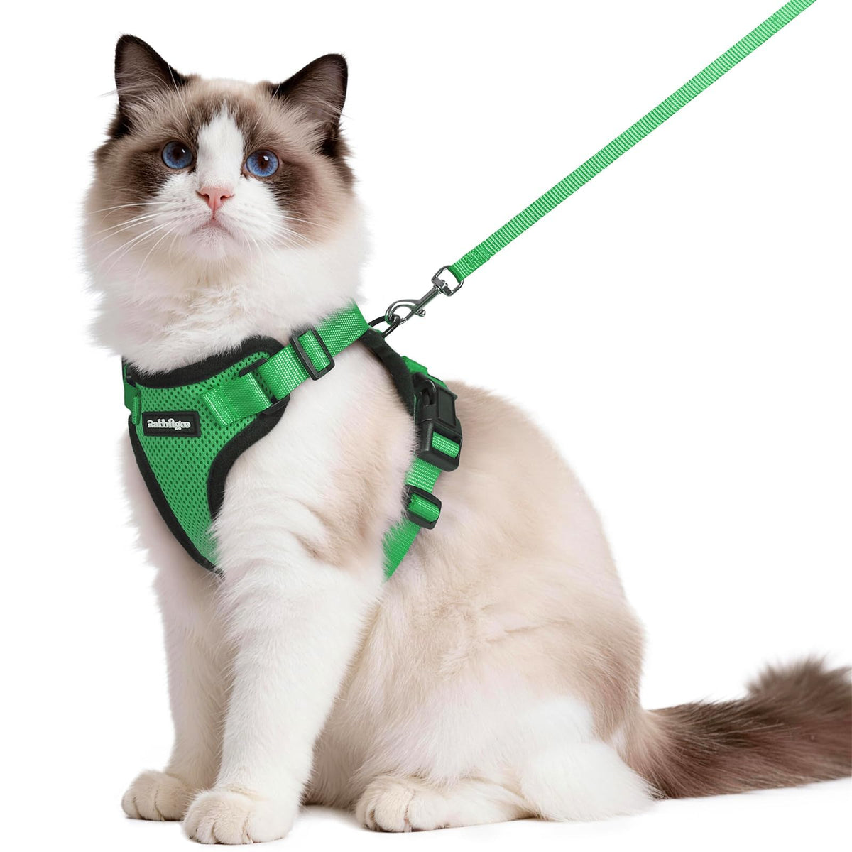 rabbitgoo Cat Harness and Leash Set, Escape Proof Vest, Black | Soft Breathable Mesh, Easy Adjustable Fit, Snap Buckles, Sturdy Clip, Reflective Strips, for Medium to Large Cats Walks, M