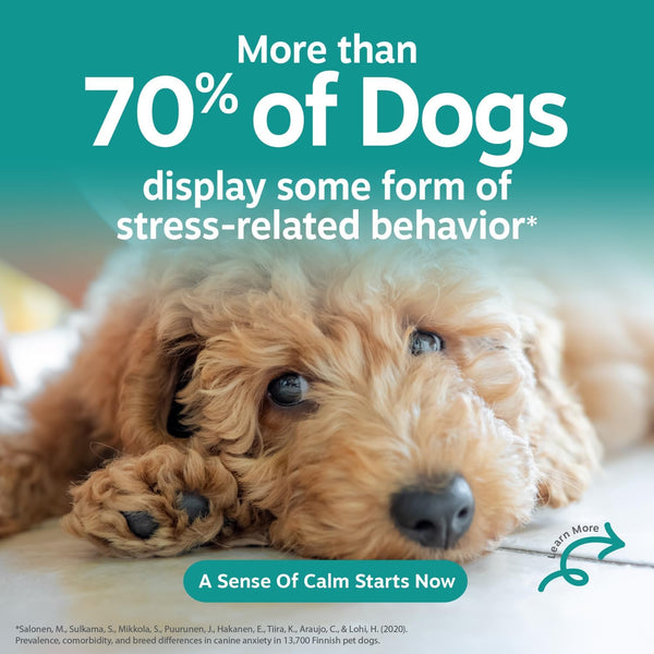 Zesty Paws Calming Chews for Dogs Composure & Relaxation for Everyday Stress & Separation Peanut Butter 90 Count