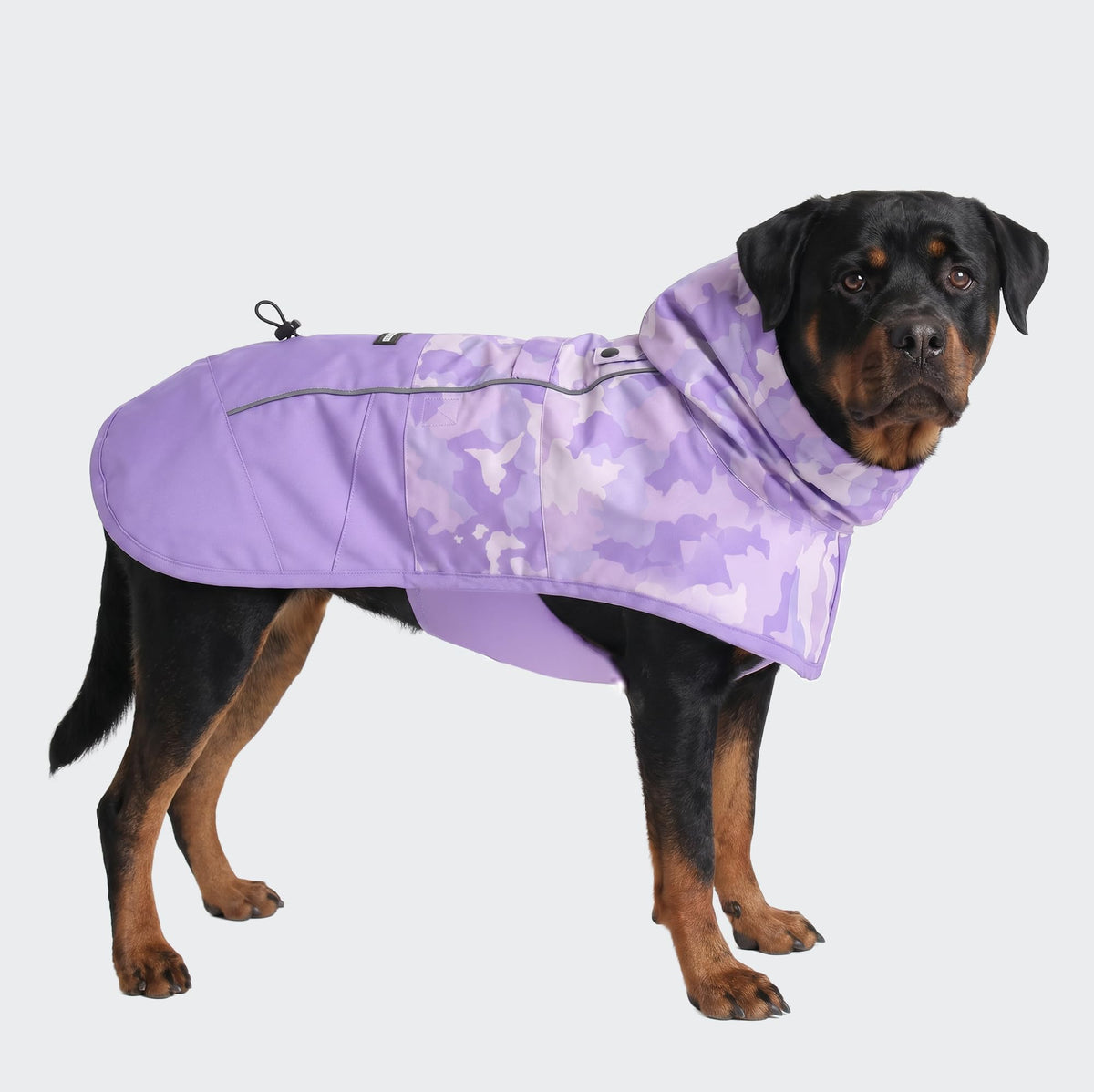 Spark Paws Dog Raincoat, Waterproof Windproof Rain Jacket, for Small Medium Large Extra Large Dogs, Reflective Breathable Full-Body Coverage Dry Suit - Neon White Navy Blue, 2XL