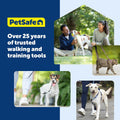PetSafe Come with Me Kitty Harness and Bungee Leash Adjustable, Lightweight Harness for Cats Large, Lilac