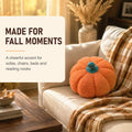 13" Cute Pumpkin Throw Pillow for Fall Decor/Halloween, 1 Pack