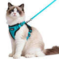 rabbitgoo Cat Harness and Leash Set, Escape Proof Vest, Black | Soft Breathable Mesh, Easy Adjustable Fit, Snap Buckles, Sturdy Clip, Reflective Strips, for Medium to Large Cats Walks, M