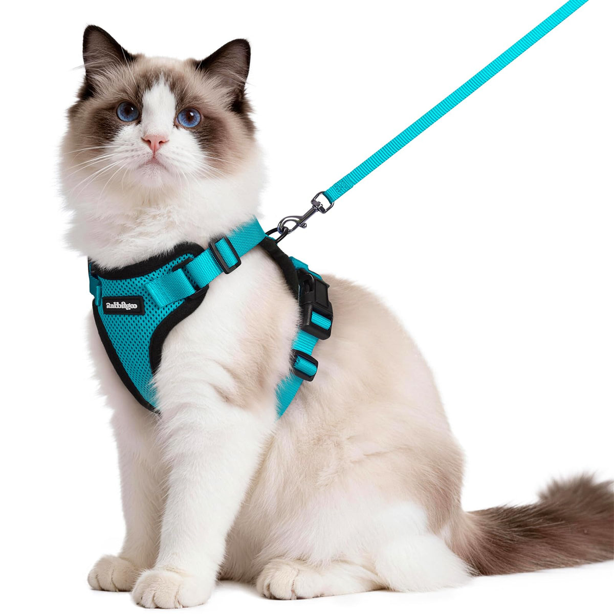 rabbitgoo Cat Harness and Leash Set, Escape Proof Vest, Black | Soft Breathable Mesh, Easy Adjustable Fit, Snap Buckles, Sturdy Clip, Reflective Strips, for Medium to Large Cats Walks, M