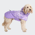 Spark Paws Dog Raincoat, Waterproof Windproof Rain Jacket, for Small Medium Large Extra Large Dogs, Reflective Breathable Full-Body Coverage Dry Suit - Neon White Navy Blue, 2XL