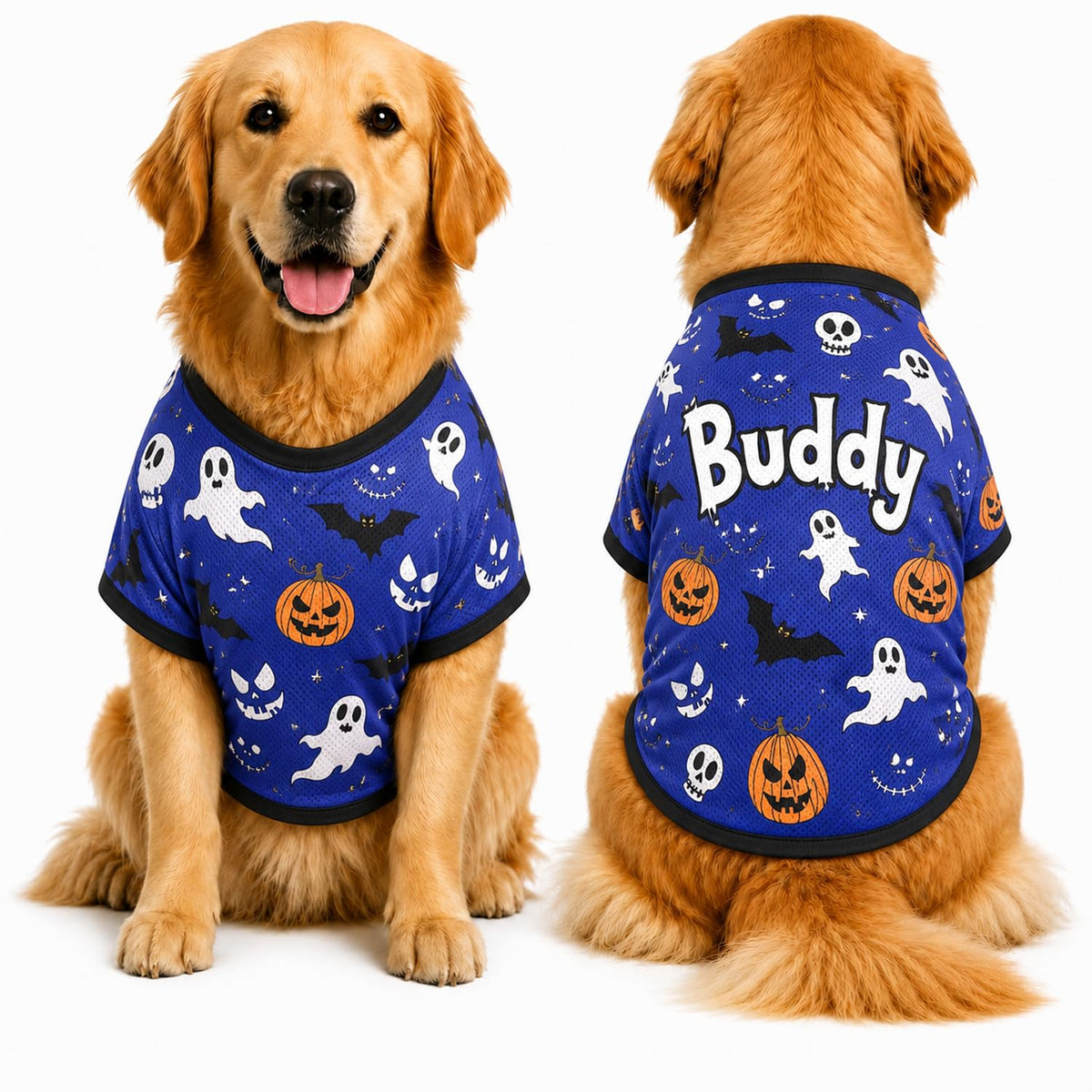 Personalized Halloween Dog Shirt, Custom Pet Shirt with Name, Pumpkin Bat Spider Web Dog Costume