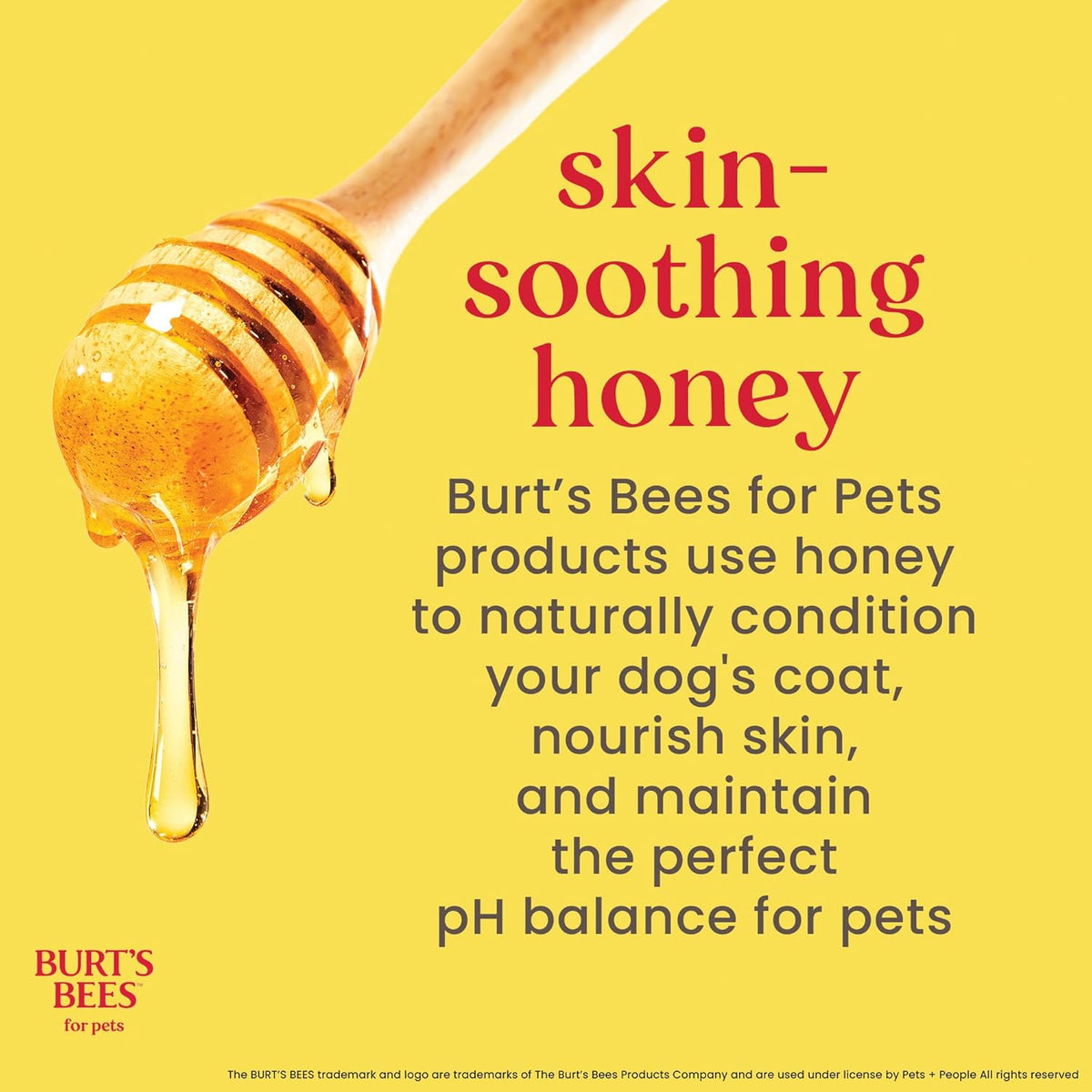 Burt’s Bees for Pets Tear Free Puppy Shampoo & Conditioner with Buttermilk, 2 in 1 Gentle Dog Shampoo for Puppies, Cleans and Conditions Sensitive Skin, 16 Fl Oz