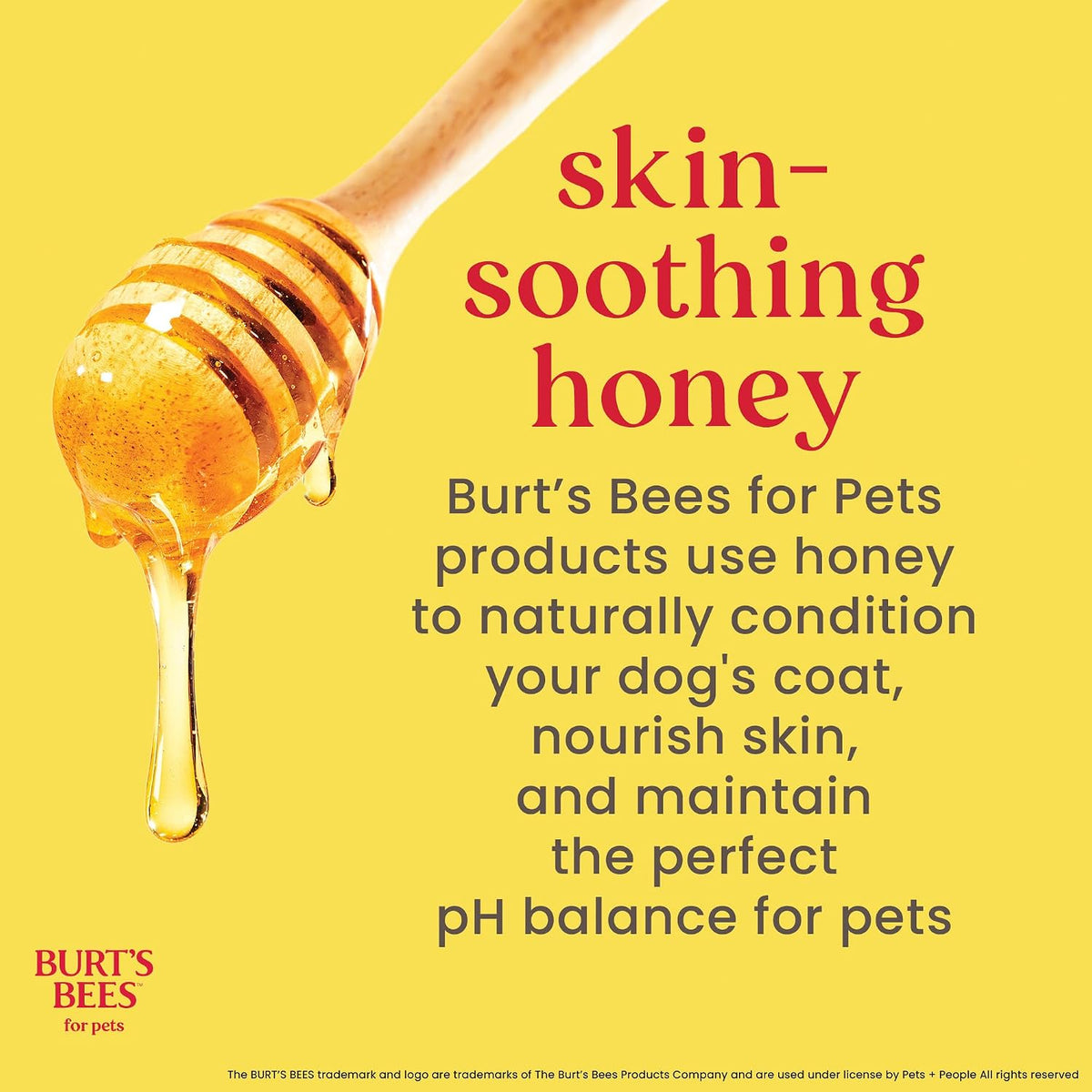 Burt's Bees for Pets Dog Detangling Spray, Natural Leave-in Coat Detangler & Dog Deodorizing Grooming Spray with Lemon, pH Balanced for Dogs, Paraben & Sulfate Free, 10 Fl Oz