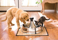 PetSafe Drinkwell Stainless Multi-Pet Fountain, red, 8 lb (PWW00-13705)