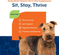 NaturVet All-in-One Dog Supplement - for Joint Support, Digestion, Skin, Coat Care – Dog Multivitamins with Minerals, Omega-3, 6, 9 – Wheat-Free Vitamins for Dogs – 240 Soft Chews