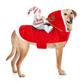 Santa Dog Costume, Dog Christmas Outfit, Riding Pet Costume, Size M