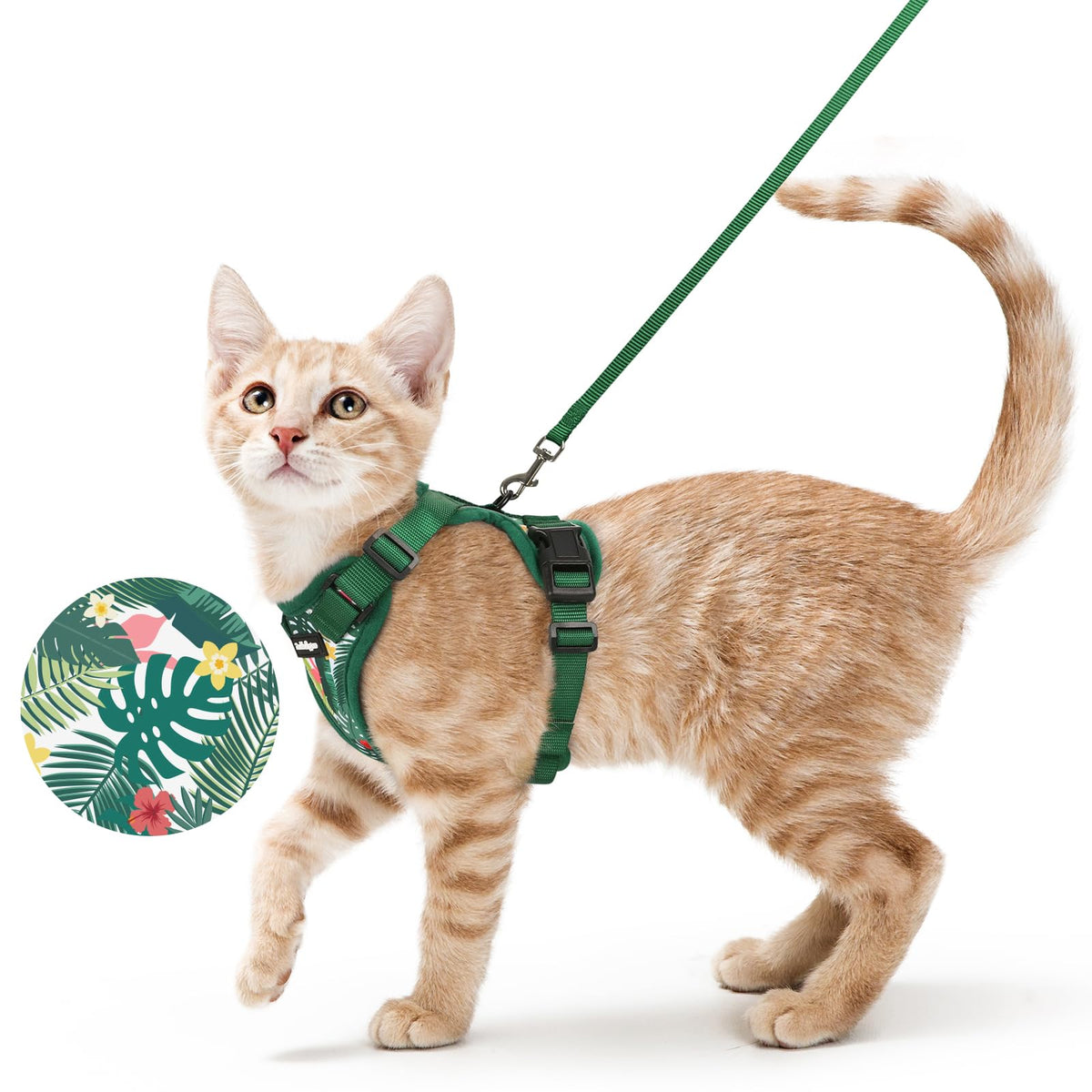 rabbitgoo Cat Harness and Leash Set, Escape Proof Vest, Black | Soft Breathable Mesh, Easy Adjustable Fit, Snap Buckles, Sturdy Clip, Reflective Strips, for Small & Average Cats Walks, Xs