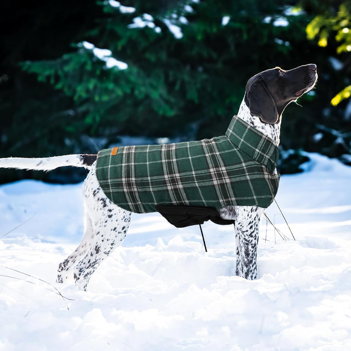 Kuoser Waterproof Dog Coat, Warm Reversible Dog Jacket with Leash Hole