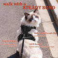 rabbitgoo Cat Harness and Leash Set, Escape Proof Vest, Black | Soft Breathable Mesh, Easy Adjustable Fit, Snap Buckles, Sturdy Clip, Reflective Strips, for Small & Average Cats Walks, Xs