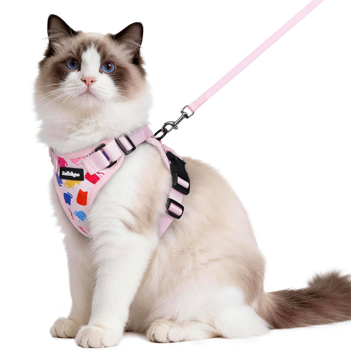 rabbitgoo Cat Harness and Leash Set, Escape Proof Vest, Black | Soft Breathable Mesh, Easy Adjustable Fit, Snap Buckles, Sturdy Clip, Reflective Strips, for Small & Average Cats Walks, Xs