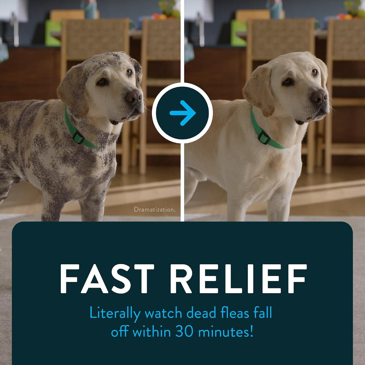 Capstar (Nitenpyram) Fast-Acting Oral Flea Treatment for Dogs 2-25 Lbs, Vet-Recommended Medication Tablets, Flea Tablets for Dogs Start Killing in 30 Minutes, 6 Doses